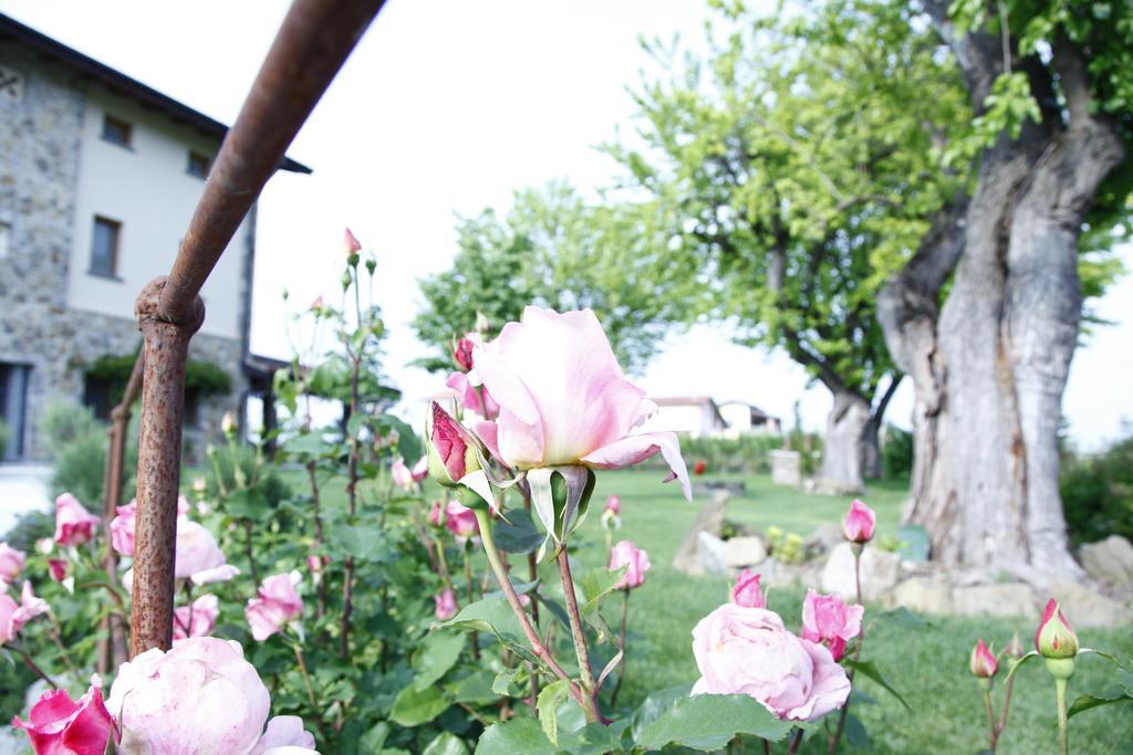 Massoni Bed And Breakfast Peschiera del Garda Exteriér fotografie