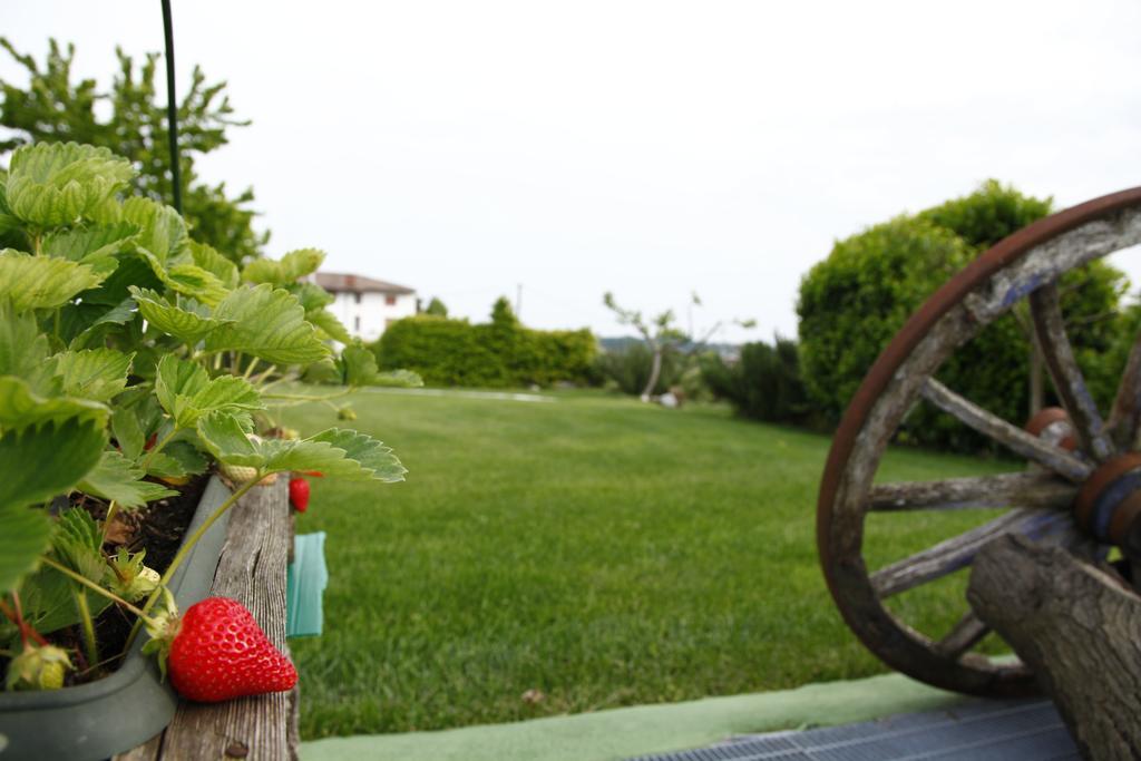 Massoni Bed And Breakfast Peschiera del Garda Exteriér fotografie